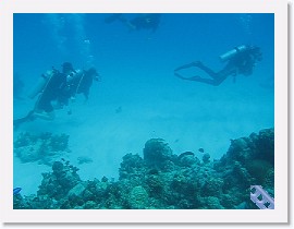 MVI_0119 * VIDEO: Fan coral and diving panorama * 1 x 1 * (6.95MB)